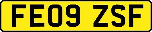 FE09ZSF