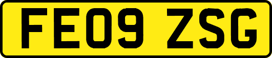 FE09ZSG
