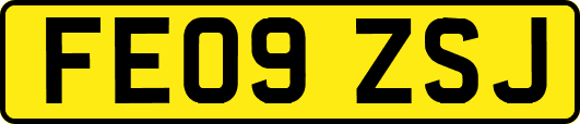 FE09ZSJ