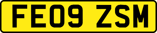 FE09ZSM
