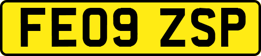 FE09ZSP