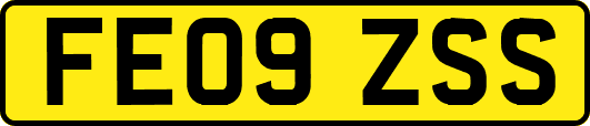 FE09ZSS
