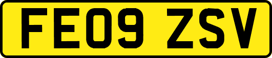 FE09ZSV