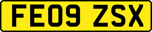 FE09ZSX