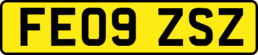 FE09ZSZ