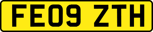 FE09ZTH