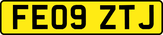 FE09ZTJ