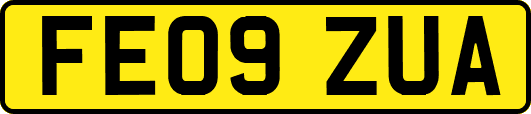 FE09ZUA