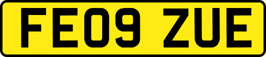 FE09ZUE