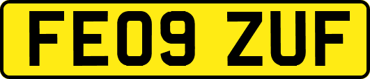 FE09ZUF