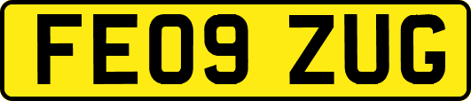FE09ZUG