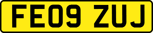 FE09ZUJ