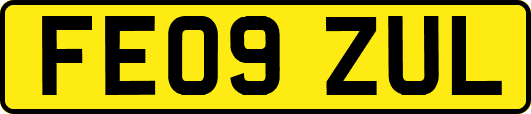 FE09ZUL