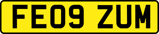 FE09ZUM