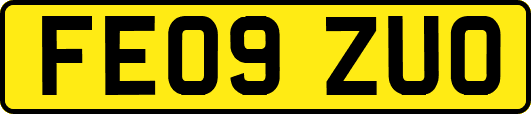 FE09ZUO