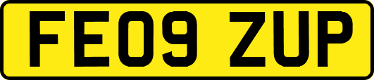 FE09ZUP
