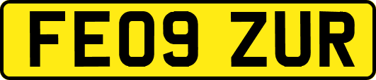 FE09ZUR