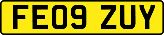 FE09ZUY