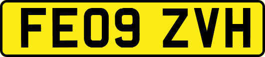 FE09ZVH