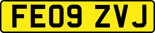 FE09ZVJ