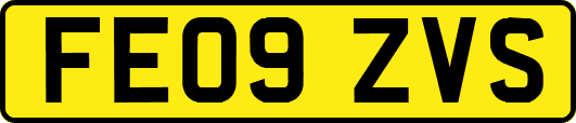 FE09ZVS