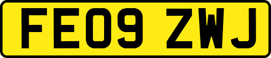 FE09ZWJ