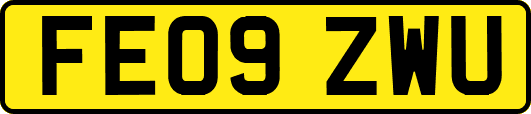 FE09ZWU