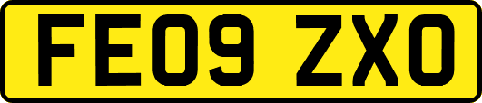 FE09ZXO