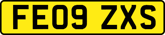 FE09ZXS