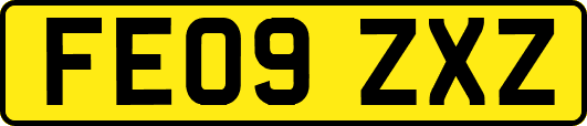 FE09ZXZ
