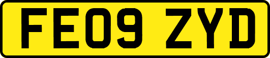 FE09ZYD