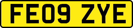 FE09ZYE