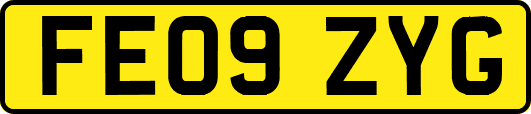 FE09ZYG