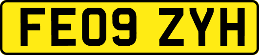 FE09ZYH