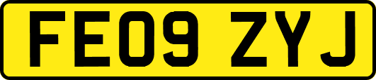 FE09ZYJ