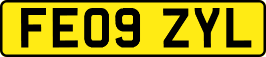 FE09ZYL