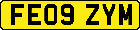 FE09ZYM