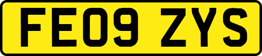 FE09ZYS