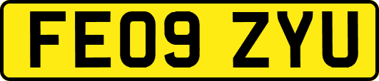 FE09ZYU