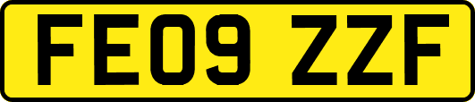 FE09ZZF
