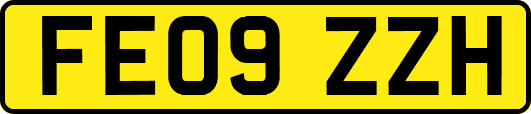 FE09ZZH