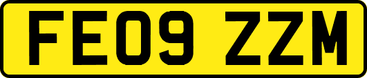 FE09ZZM
