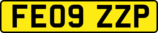 FE09ZZP
