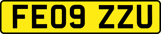 FE09ZZU