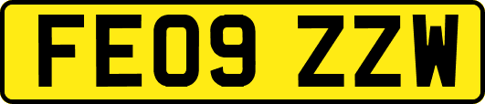 FE09ZZW