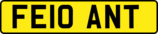 FE10ANT