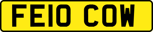 FE10COW