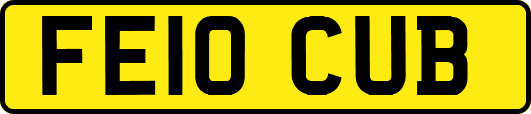 FE10CUB