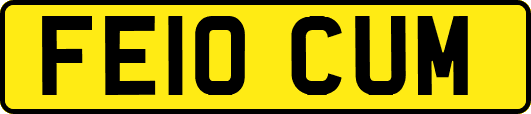 FE10CUM