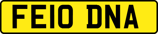 FE10DNA